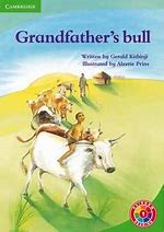 Grandfather's Bull
