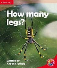 How Many Legs?
