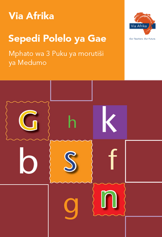 Via Afrika Sepedi Home Language Grade 3 Phonics Teacher's Guide (Printed book.)