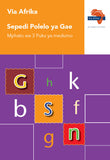 Via Afrika Sepedi Home Language Grade 3 Phonics Workbook (Printed book.)