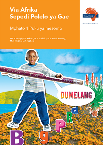 Via Afrika Sepedi Home Language Grade 1 Workbook (Printed book.)