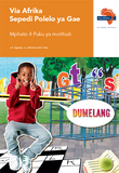 Via Afrika Sepedi Home Language Grade 4 Learner's Book (Printed book.)
