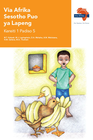 "Via Afrika Sesotho Home Language Grade 1 Reader 5 Stories: 1. Mahae  2. Moralo wa bibaka (Printed book.)"