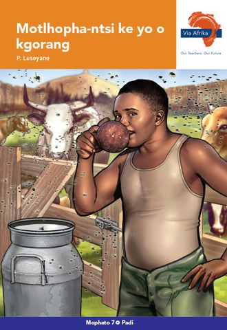 Modisa Book Via Afrika Setswana Home Language Grade 7 Novel: Motlhopha-ntsi ke yo ...