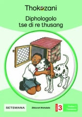 THOKOZANI SETSWANA GRADE 3: DIPHOLOGOLO TSE DI RE THUSANG