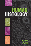 Human histology