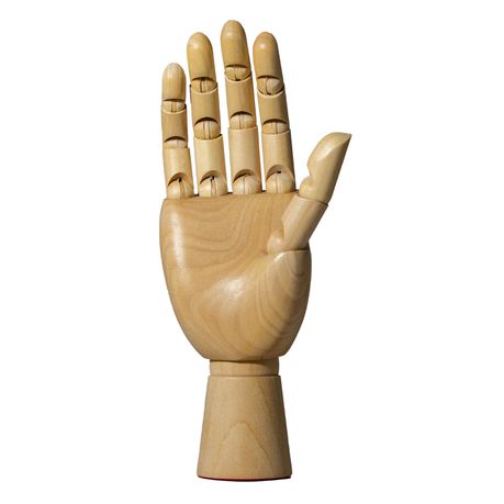 DALA HAND MODEL – Elex Academic Bookstore
