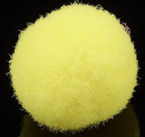TREFOIL DALA POM POMS