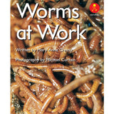 Worms at Work