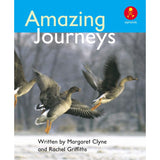 Amazing Journeys