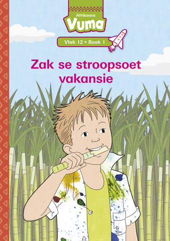 VUMA AFRIKAANS HUISTAAL VLAK 12 BOEK 1 GROOTBOEK: ZAK SE STROOPSOET VAKANSIE : VLAK 12: BOEK 1 : GRAAD 3