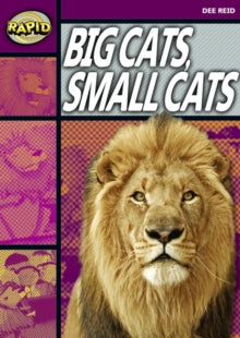 Rapid Stage 1 Set A: Big Cats, Small Cats (Series 1)