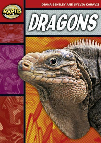 Dragons - Rapid. B