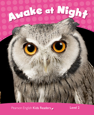Pearson English Kids Readers Level 2: Awake at Night
