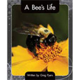 A Bee's Life