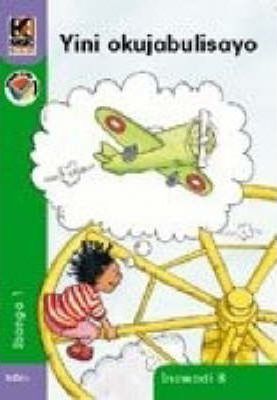 Kagiso Reader Gr 1 (IsiZulu) Book 8:  Yini okujabulisayo (NCS)