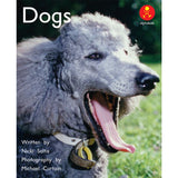 AK L1: DOGS