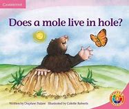 Does A Mole Live In A Hole?
