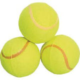 TREFOIL BACK TO SCHOOL EQUIP