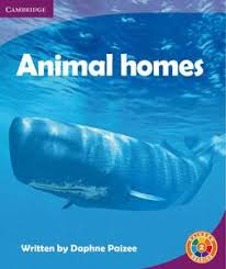 Animal Homes