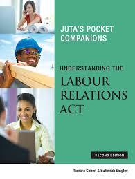 Labour Relations Act, Understanding the (Juta's Pocket Companions) (2017 - 2nd edition)