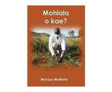 Mohlala o kae? (Novel)