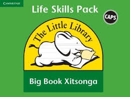 Little Library Life Skills Big Book Pack (SiSwati)
