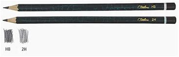 Treeline HB Sharpened Pencils (12 Pack)(Box of 12 Packs) - Green and Black Barrel