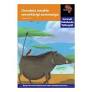 "Via Afrika isiNdebele Home Language Intermediate Phase Graded Reader 32: Umndeni omuhle weemfarigi zommango (Printed book.)"