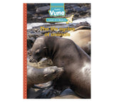 Vuma Level 12 Book 4 Big Book: The life cycles of animals