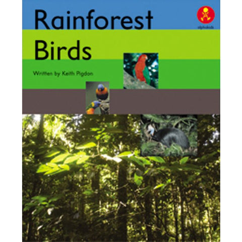 Rainforest Birds