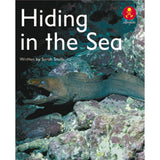 AK+ L8: HIDING IN THE SEA