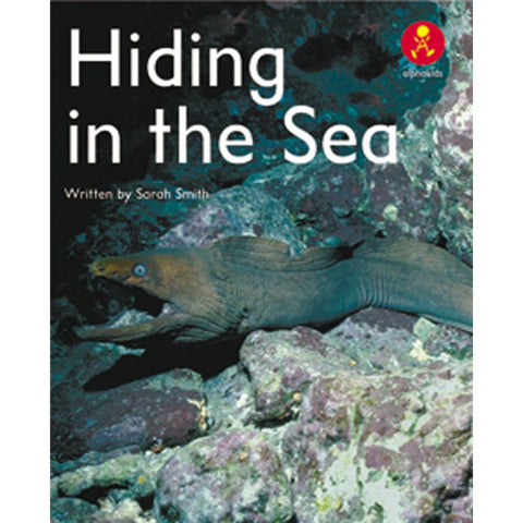 AK+ L8: HIDING IN THE SEA