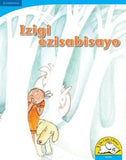 Izigi ezisabisayo (Big Book version)