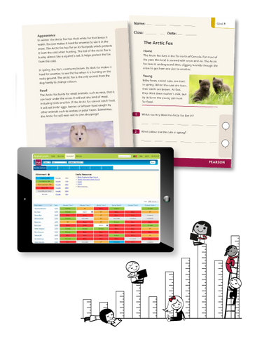 Reading Assessment Guides - Year 1