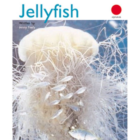 Jellyfish