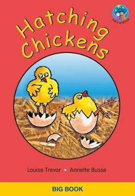 Hatching chickens (Big Book) (Stars of Africa Series)