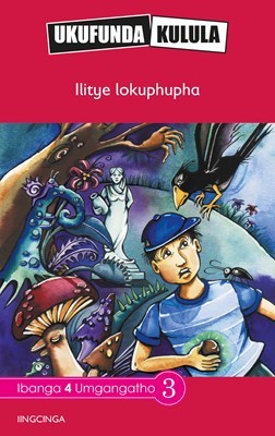 Ukufunda Kulula Grade 4: Ilitye lokuphupha (CAPS)(Reader)