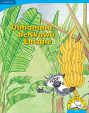 Obhanana beNkawu Encane (Big Book version)