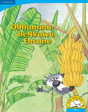 Obhanana beNkawu Encane (Big Book version)