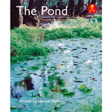 AK+ L5: THE POND