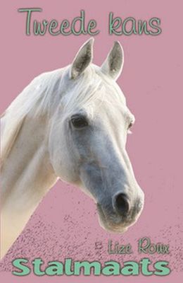 Stalmaats 21: Tweede Kans (Afrikaans, Paperback)