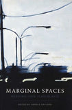 Marginal Spaces - On Ivan Vladislavic (Paperback)