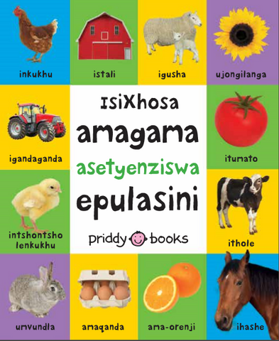 FIRST 100 FARM ISIXHOSA               