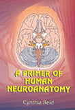 Primer of human neuroanatomy, A 3/e