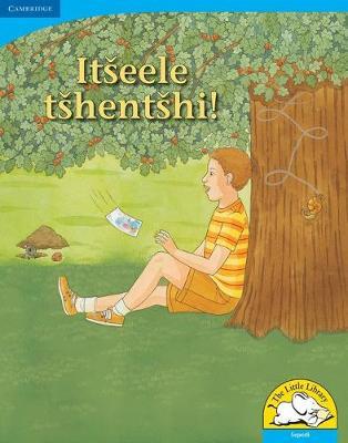 Itseele tshentshi! (Big Book version)