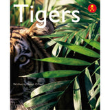 AK+ L13: TIGERS