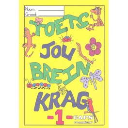 Toets Jou Brein Krag 1