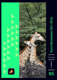 N5 Tourist Destinations Volume I: Africa