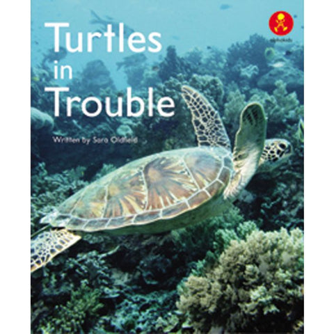 The Giant's Diary / Turtles in Trouble
